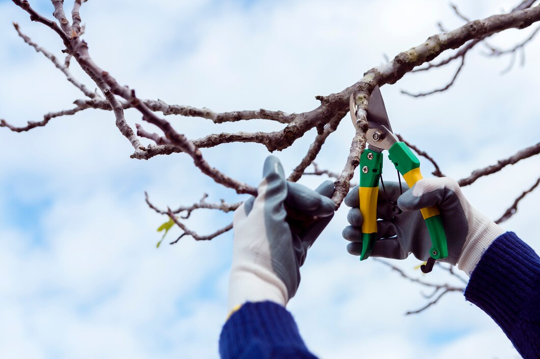 Tree pruning service